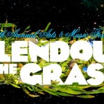 Me vs Splendour In The Grass 2010